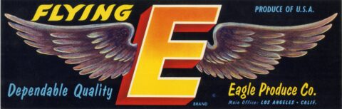 Flying E